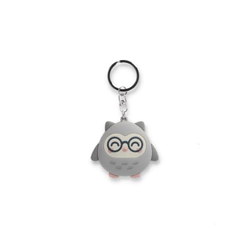 Mr. Wonderful Mr.Wonderful - Llavero - Búho - Regalo para Profesores - Llavero...