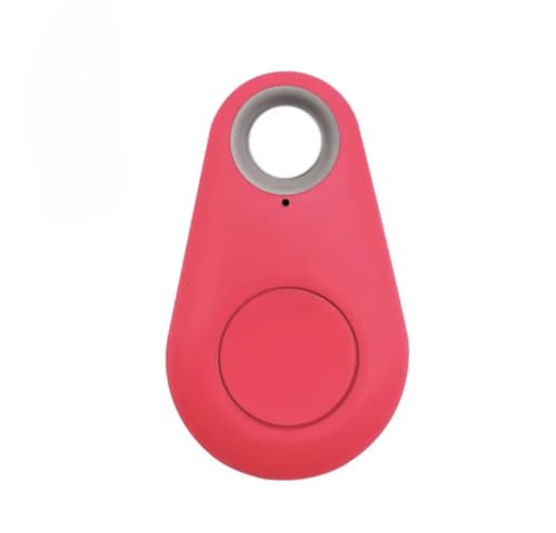 Localizador GPS/Llavero Antipérdida y Antirrobo para Maletas, niños, Mascotas,...