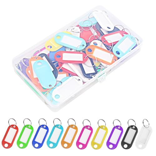 50 Piezas Llaveros Plástico con Etiqueta – Etiquetas para Llaves –...