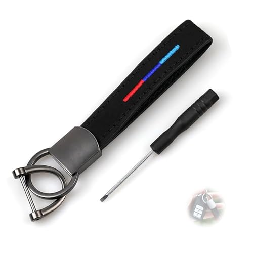 AzureRay Llavero Universal de Cuero para BMW Coche etc.- Metal Negro, Compatible...