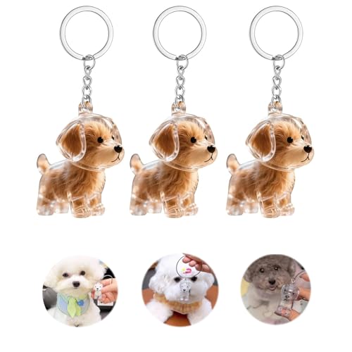 Mfqire 3PC Llavero Recogedor de Pelo de Perro Transparente, Cápsula Recuerdo...