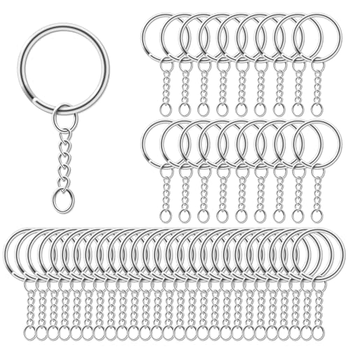 AiQInu 100 Piezas 25mm Anillas Llaveros con Cadena, Argollas para Llaveros con...